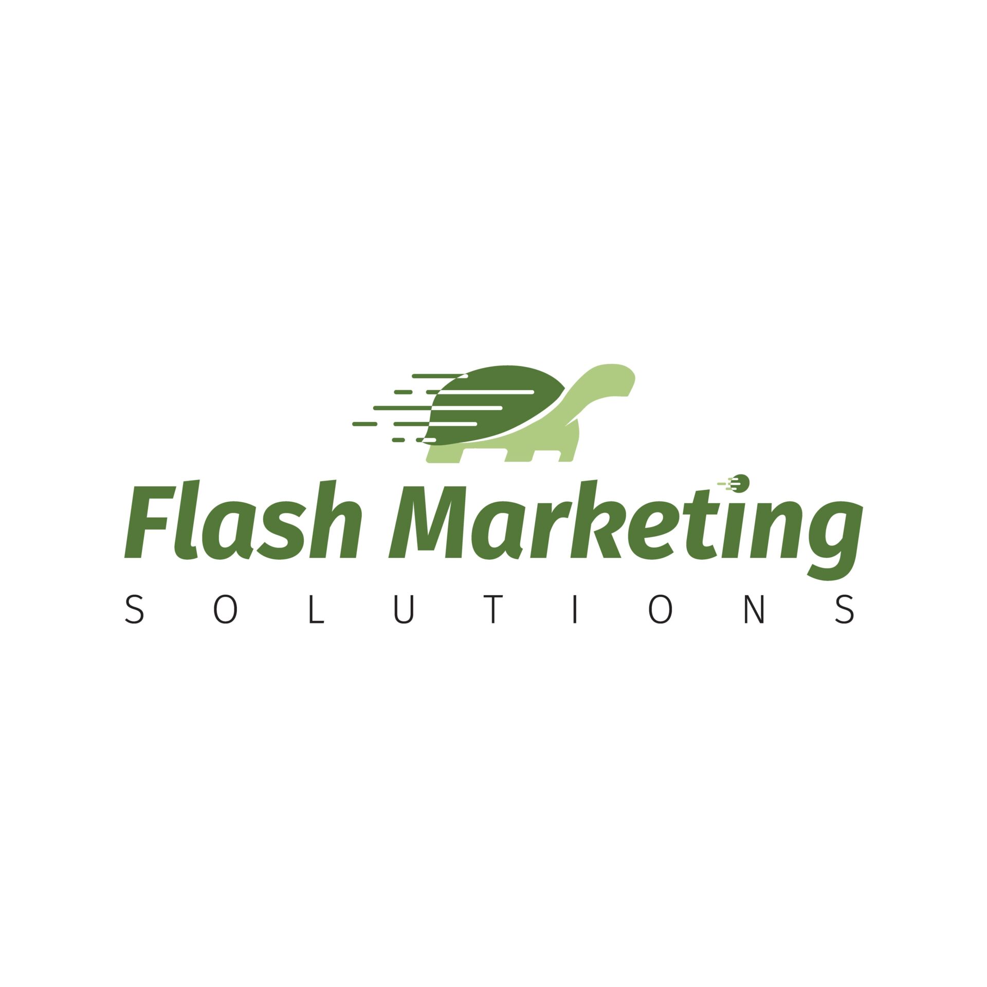 Flash Marketing Solutions Logo